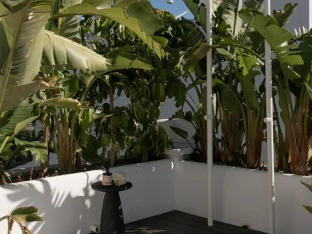 Penthouse Alcazaba Beach, première ligne - Estepona : photo 17