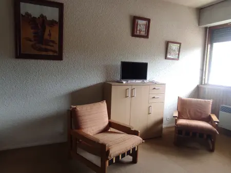 Studio 31 m² vue lac des Hermines - Super Besse : photo 10