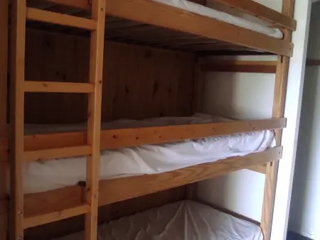 Studio 31 m² vue lac des Hermines - Super Besse : photo 14