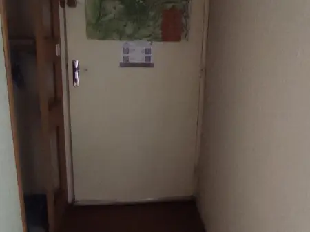 Studio 31 m² vue lac des Hermines - Super Besse : photo 16
