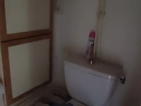 Studio 31 m² vue lac des Hermines - Super Besse : photo 18