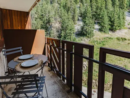 Appartement 25 m² vue montagne à Plagne Bellecôte : photo 10