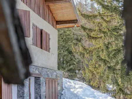 Chalet Vivet-Gros, vue Mont-Blanc - 8 pers. : photo 5