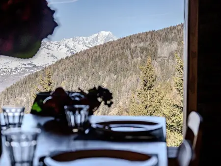 Chalet Vivet-Gros, vue Mont-Blanc - 8 pers. : photo 11