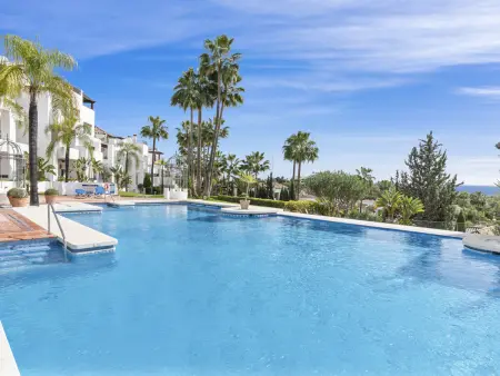 Penthouse 3 chambres avec salle de sport sur toit à Marbella : photo 29