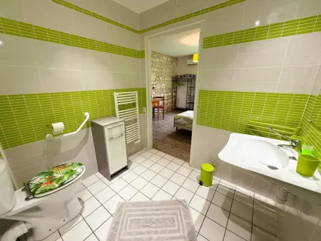 Gîte 6 chambres avec terrain de jeux à Pouzay : photo 20