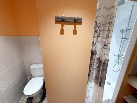 Gîte 6 chambres avec terrain de jeux à Pouzay : photo 29