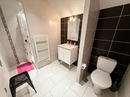 Gîte 6 chambres avec terrain de jeux à Pouzay : photo 32