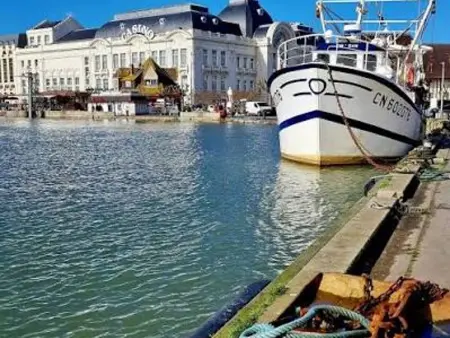 Studio lumineux centre Trouville, balcon sud, 200 m de la mer : photo 5