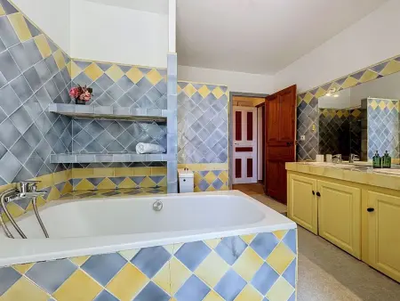 Villa 4 chambres avec piscine à Aigues-Vives : photo 42