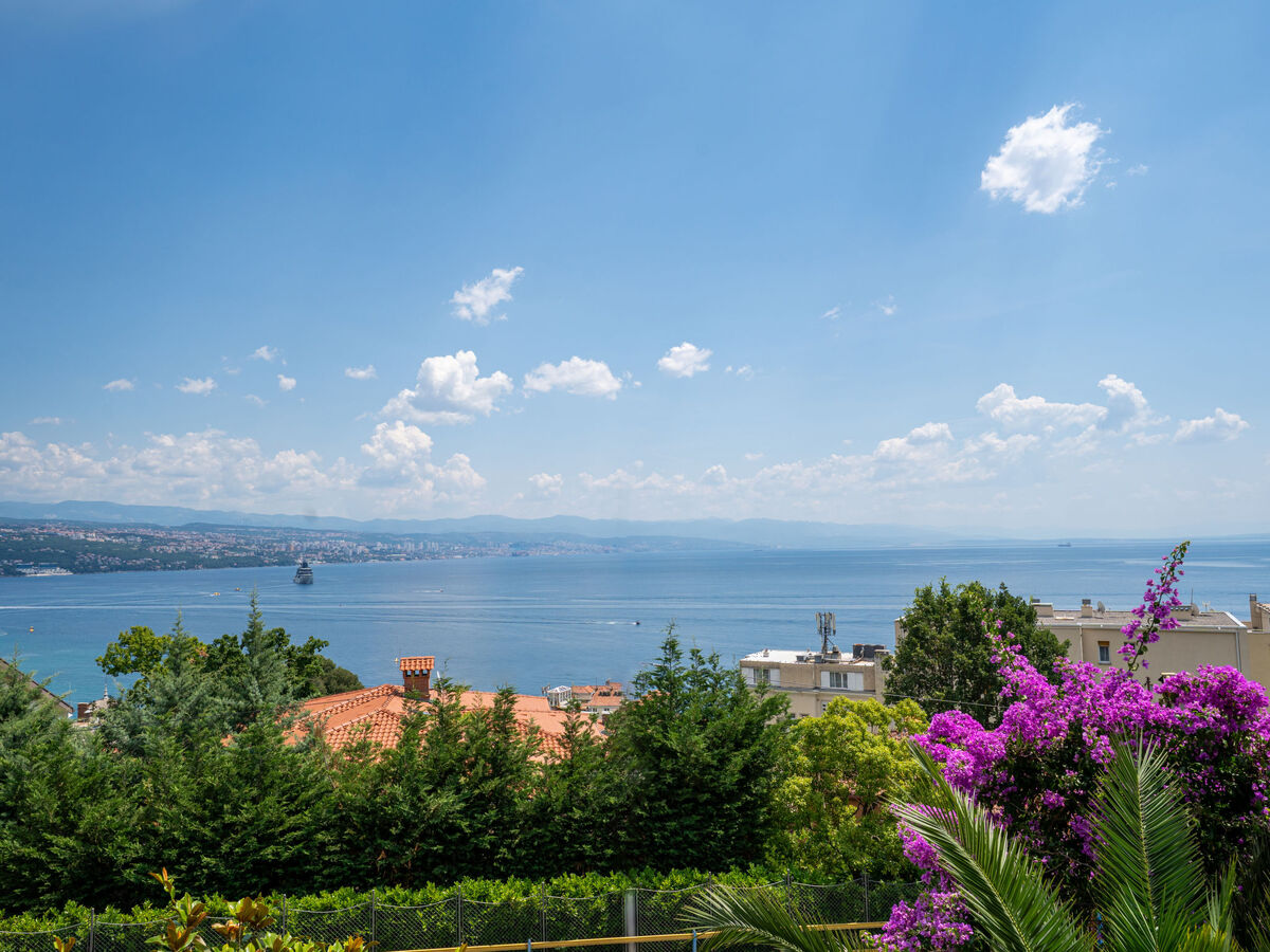Maison Salvia avec piscine privée à Opatija - Photo 3