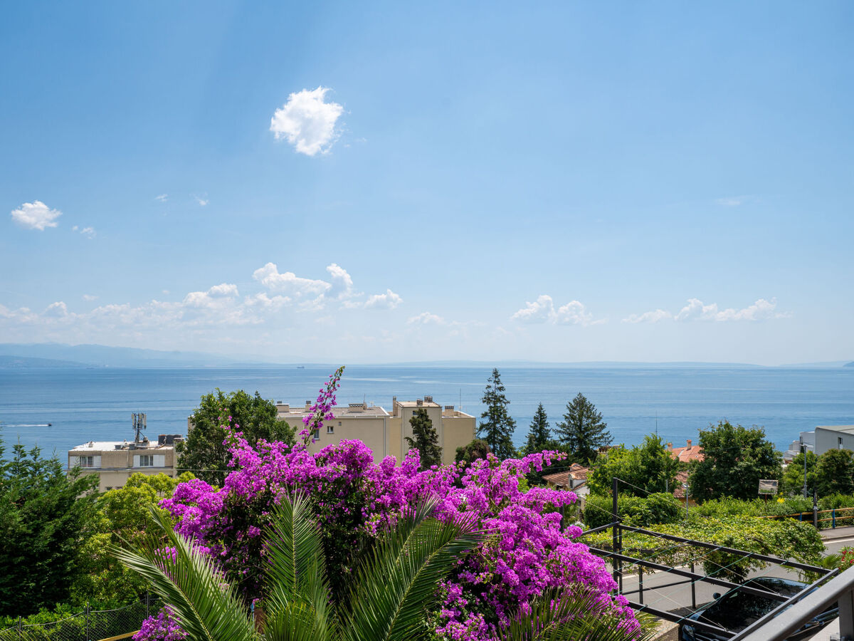 Maison Salvia avec piscine privée à Opatija - Photo 36