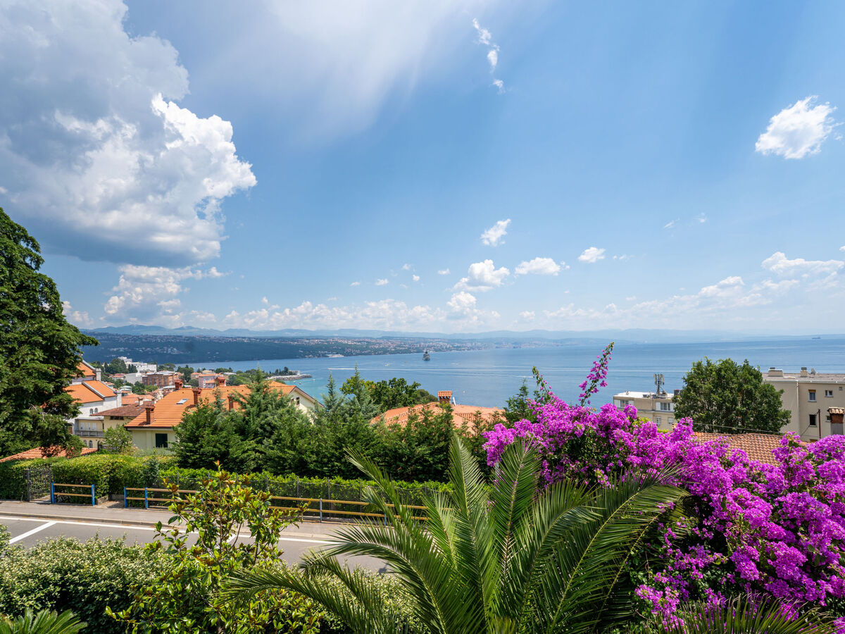 Maison Salvia avec piscine privée à Opatija - Photo 52