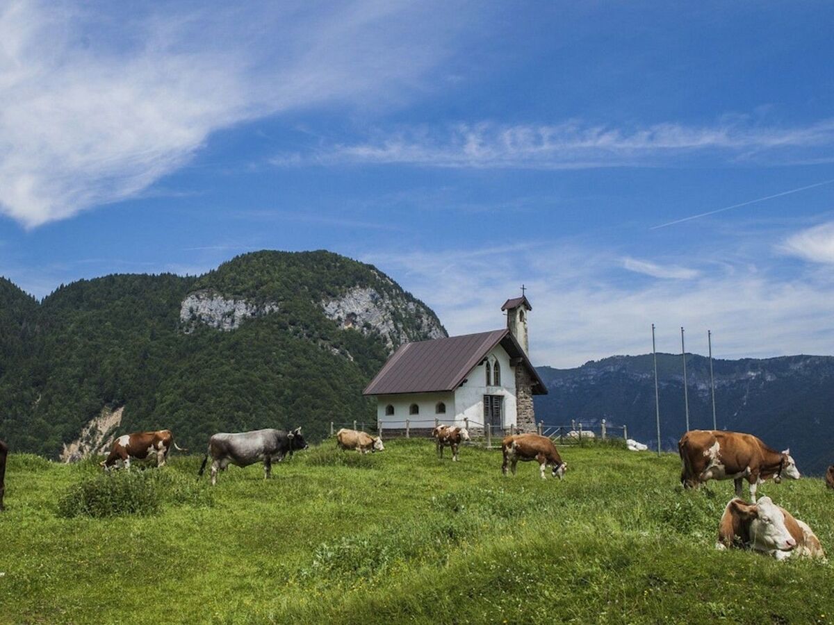 Maison pierre rénovée Posina, vue Dolomites - Photo 60