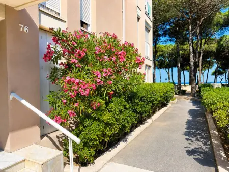 T2 front de mer avec vue, parking gratuit à Argelès : photo 12