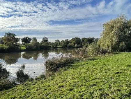 Gîte de Pêche du Lieu Sorbier à Bourbon-l'Archambault : photo 15