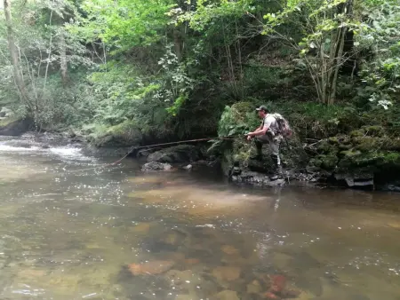Gîte de Pêche du Lieu Sorbier à Bourbon-l'Archambault : photo 16