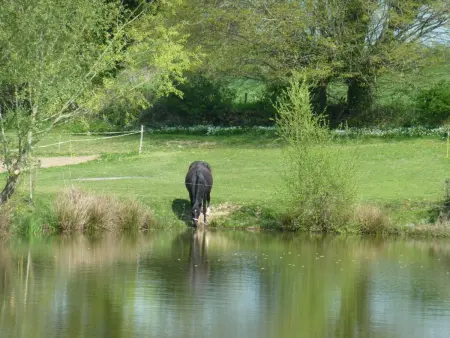 Gîte de Pêche du Lieu Sorbier à Bourbon-l'Archambault : photo 18