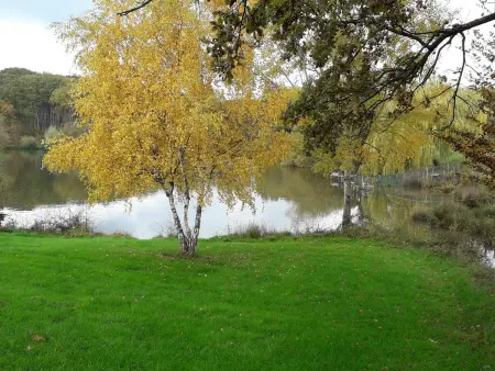 Gîte de Pêche du Lieu Sorbier à Bourbon-l'Archambault : photo 21