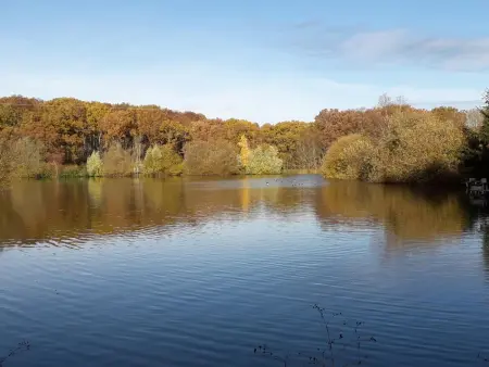 Gîte de Pêche du Lieu Sorbier à Bourbon-l'Archambault : photo 22