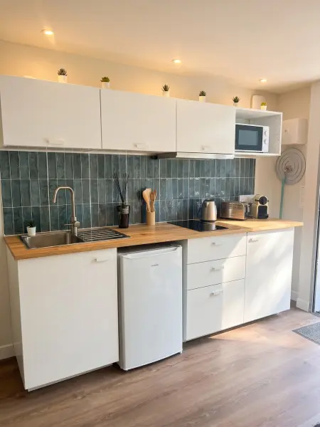 Studio 28 m² avec terrasse et jardin clôturé à Carignan-de-Bordeaux : photo 5