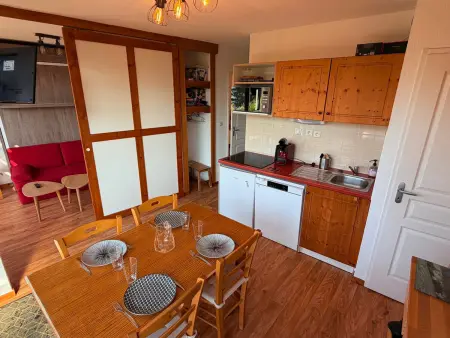 Appartement vue montagnes à Chamrousse, terrasse et 4 couchages : photo 4