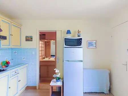 Appartement Tennis Résidence à Saint Cyprien : photo 29