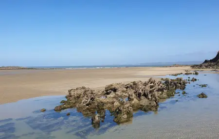 Maison face à la plage, vue mer à Plestin-les-Grèves : photo 31