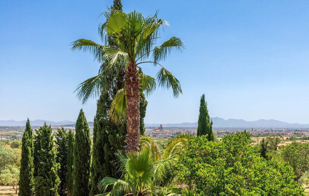 Finca majorquine avec piscine à Porreres - Photo 10