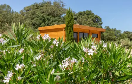 Estrella - Son Jorbo, maison Majorque avec piscine : photo 13