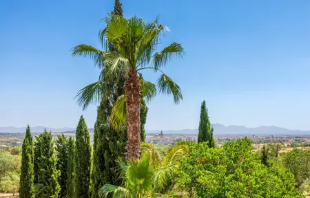 Estrella - Son Jorbo, maison Majorque avec piscine : photo 14