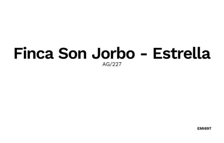 Estrella - Son Jorbo, maison Majorque avec piscine : photo 16