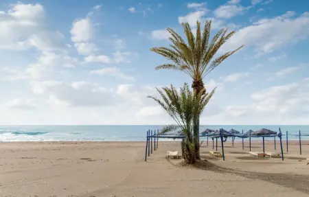 Appartement 3 chambres à Torremolinos, à 174 m de la plage : photo 8