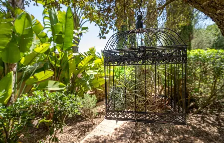 Luna - Son Jorbo, finca majorquine avec piscine : photo 10