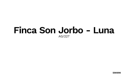 Luna - Son Jorbo, finca majorquine avec piscine : photo 17
