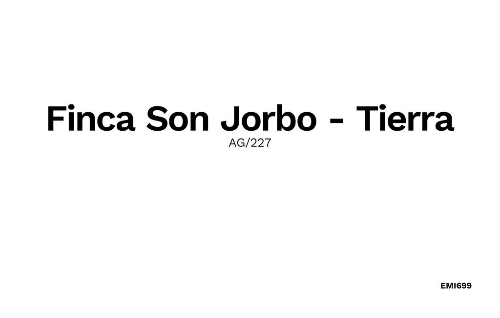 Tierra - Son Jorbo, maison Majorque avec piscine - Photo 19