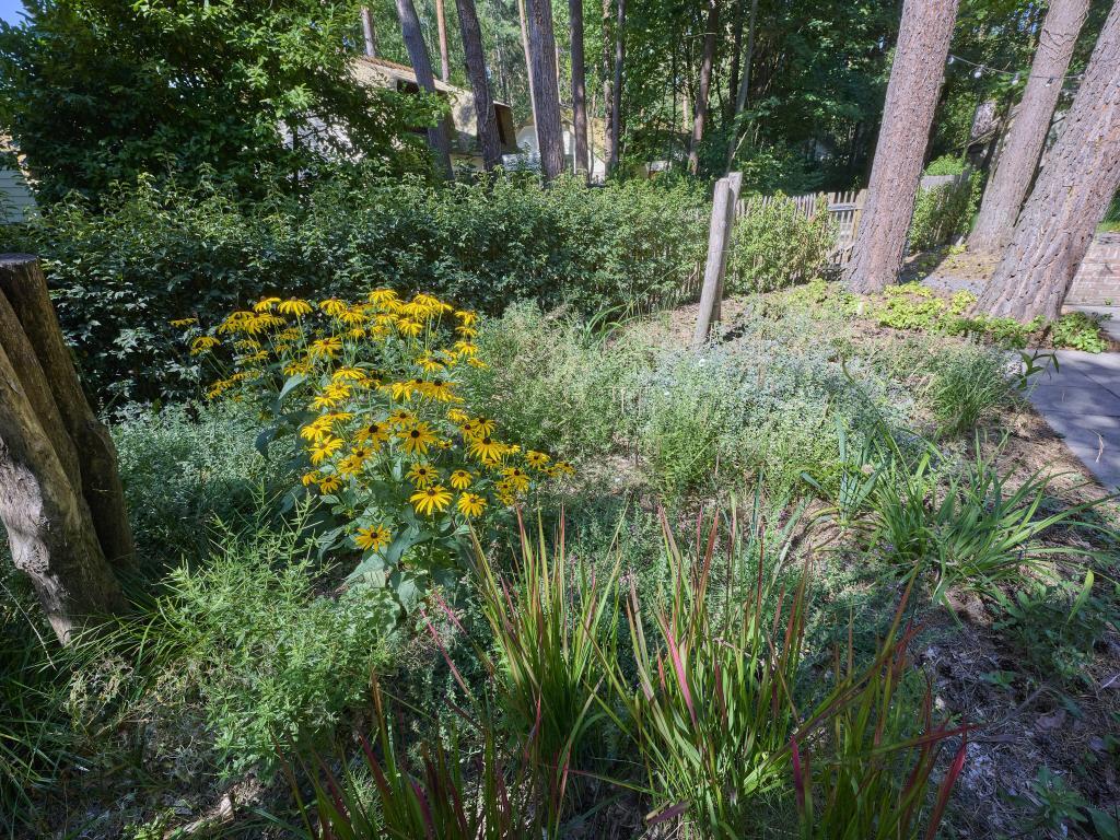 Maison au toit de chaume à Rekem, 2 chambres, jardin clos - Photo 36