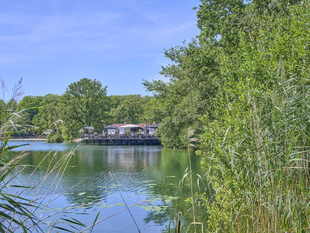 Maison au toit de chaume à Rekem, 2 chambres, jardin clos - Photo 45
