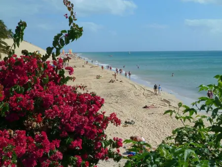 Appartement 3 pers. Morro Jable, 400m plage, clim - Photo 21