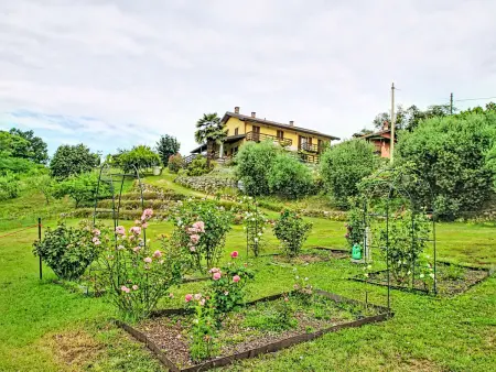 Location gite à Arona, BB10 Oasi