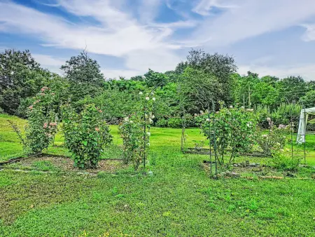 Gîte rustique BB10 Oasi à Arona, 4 pers. : photo 29