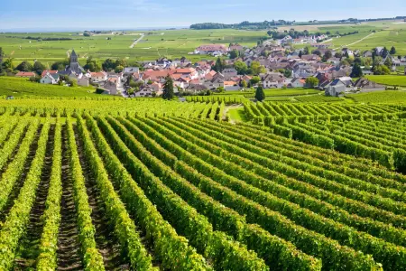 Maison de campagne 15 pers. avec jardin clos au Puley, Bourgogne : photo 25