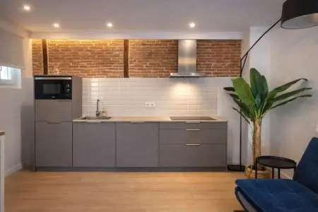 Appartement 31 m² La Latina, Madrid - 4 personnes : photo 3