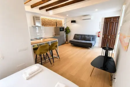 Appartement 31 m² La Latina, Madrid - 4 personnes : photo 8