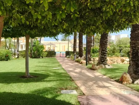 Appartement 2 chambres pet-friendly à Denia, clim : photo 4