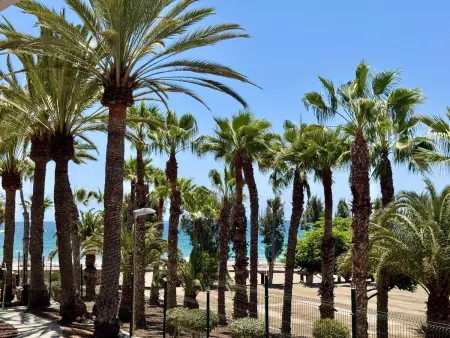 Appartement vue mer à 50 m de la plage : photo 24