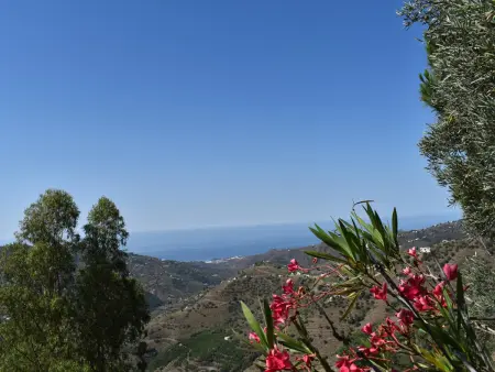 Maison rurale vue mer et montagne - 4 pers., Gite 4 personnes à Cómpeta - Photo 3