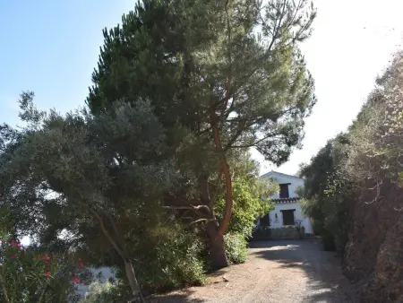 Maison rurale vue mer et montagne - 4 pers., Gite 4 personnes à Cómpeta - Photo 19