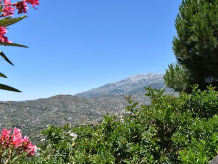 Finca La Jara : gîte andalou avec piscine à Cómpeta : photo 6