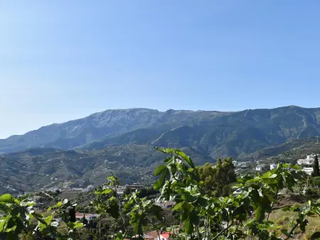 Finca La Jara : gîte andalou avec piscine à Cómpeta : photo 19